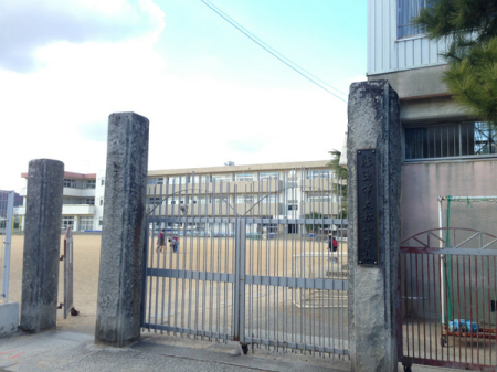 ���ӊ��@-