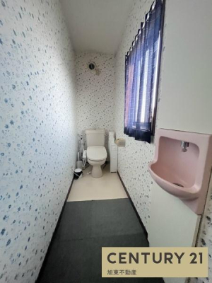 �o���R�j�[�@-