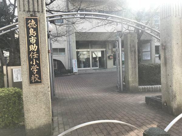 任 小学校 助